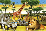 ASSORTATED PUZZLES