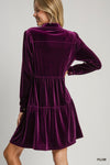 THE PLUM VELVET DRESS
