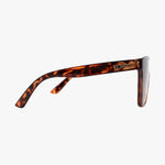 BIRCH CLASSIC TORTOISE - POLARIZED