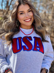 USA in Metallic Puff Sweatshirt
