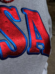 USA in Metallic Puff Sweatshirt