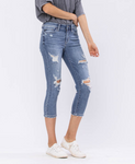 MID-RISE DESTROYED CAPRIS