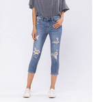 MID-RISE DESTROYED CAPRIS